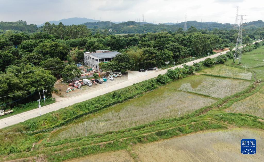左右棋牌大全